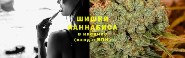 ГАЛЛЮЦИНОГЕННЫЕ ГРИБЫ Ладушкин