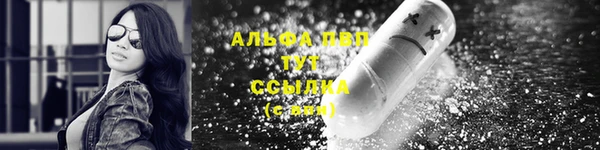 ГАЛЛЮЦИНОГЕННЫЕ ГРИБЫ Ладушкин