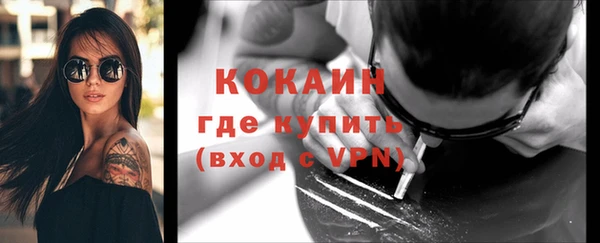 ГАЛЛЮЦИНОГЕННЫЕ ГРИБЫ Ладушкин