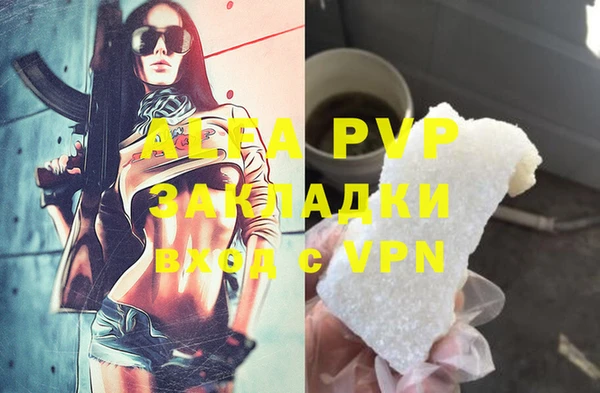 соль ск Тавда