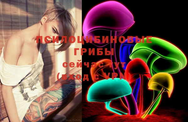 ГАЛЛЮЦИНОГЕННЫЕ ГРИБЫ Ладушкин