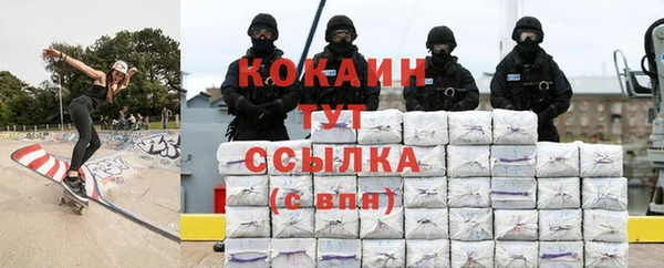 ГАЛЛЮЦИНОГЕННЫЕ ГРИБЫ Ладушкин