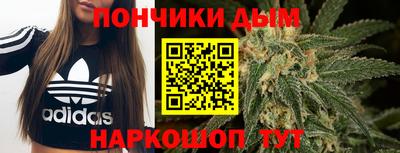 apvp Гагарин