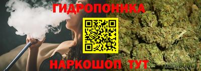 apvp Гагарин