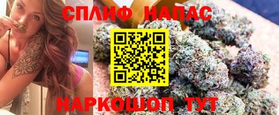 apvp Гагарин
