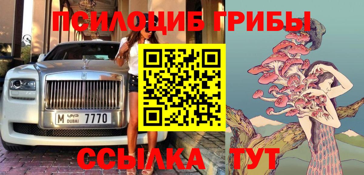 Галлюциногенные грибы прущие грибы  Псилоцибиновые грибы Cubensis  Подольск  Вход с VPN 