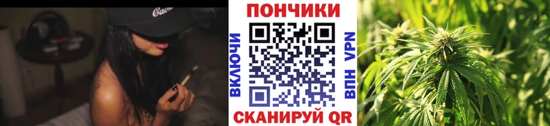 Канабис VHQ  где купить   MEGA маркетплейс  Подольск 